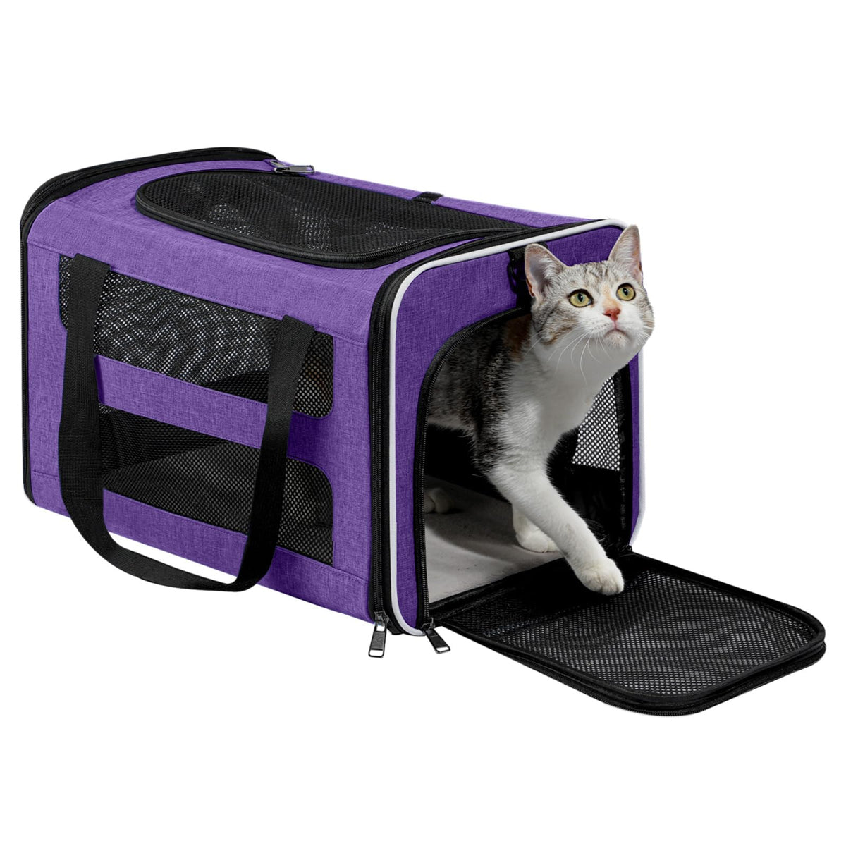 PAPZER cat carrier with breathable mesh for safe, comfortable travel.