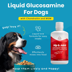 Paramount Pet Health 32 oz bottle close-up highlighting value and quality.