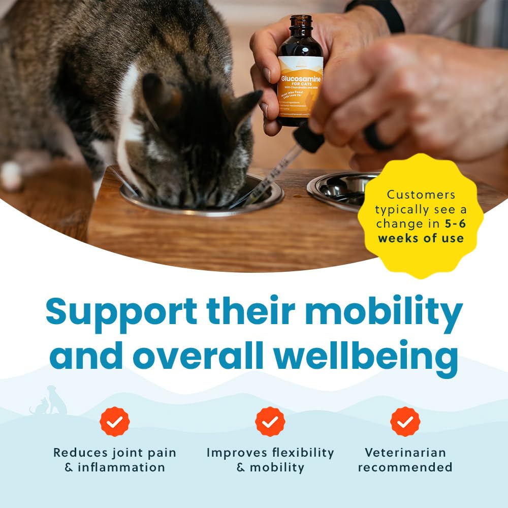 Paramount Pet Health drops mixed into cat food for mobility support.