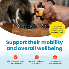 Paramount Pet Health drops mixed into cat food for mobility support.