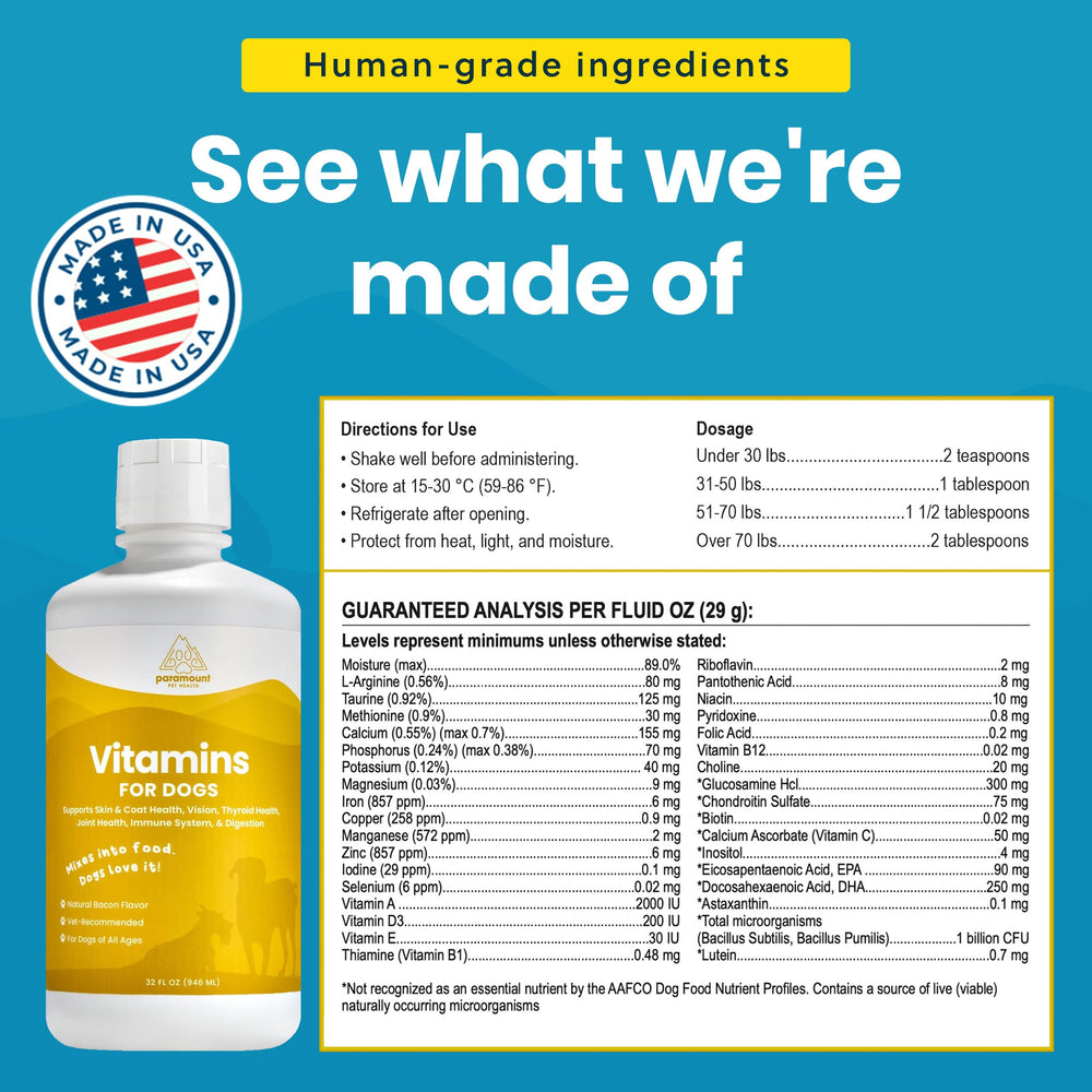 Paramount Pet Health dog multivitamin bottle close-up showing compact USA-made packaging.