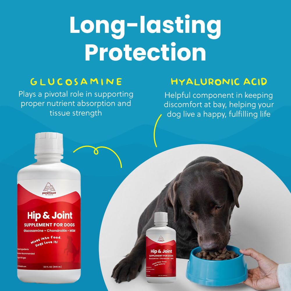 Paramount Pet Health dog enjoying activity after easy supplement addition.