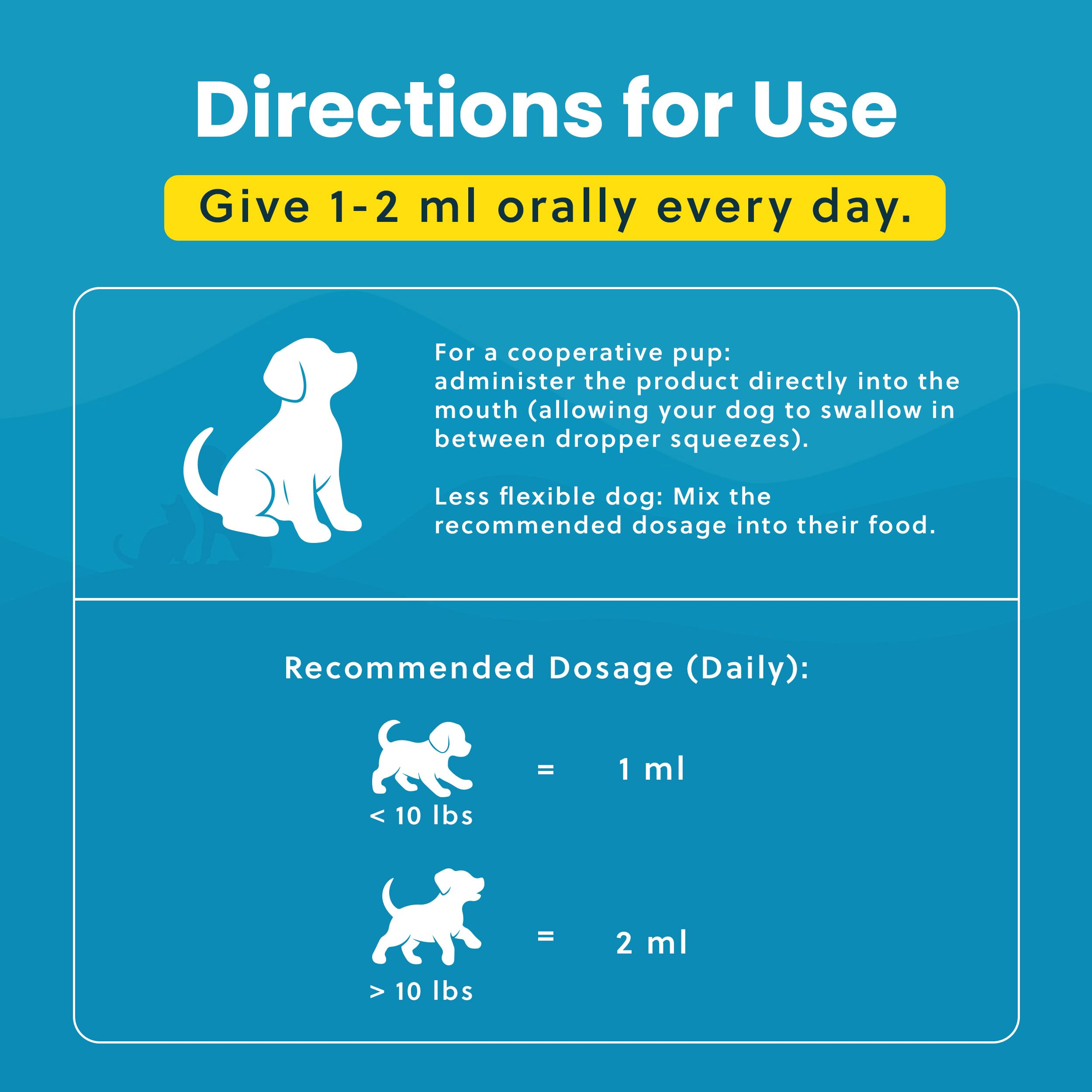 Paramount Pet Health bottle shown beside a playful dog ready for activity.