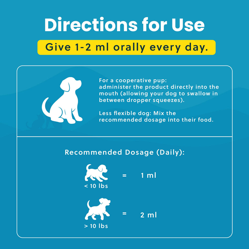 Paramount Pet Health bottle shown beside a playful dog ready for activity.