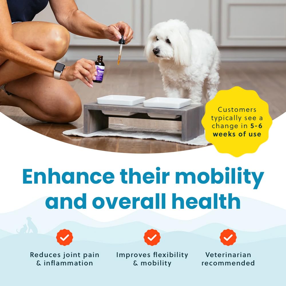 Paramount Pet Health bottle with bowl shows seamless meal integration.