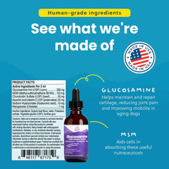 Paramount Pet Health label close-up shows 260 mg glucosamine per serving.