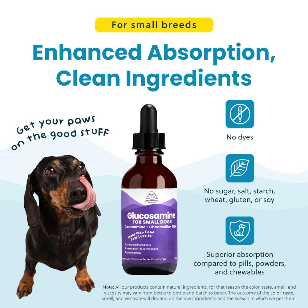 Paramount Pet Health product helps a small dog stay active.