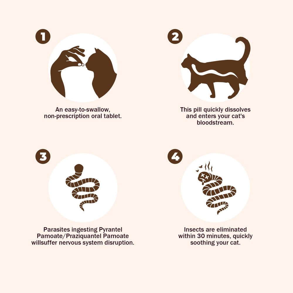 Parontal dewormer packaging showing Dipylidium caninum coverage visual.