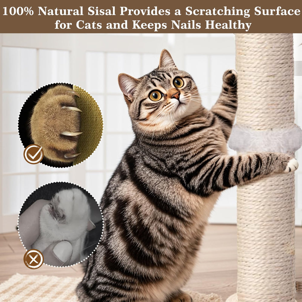 PAROTO compact 25-inch cat tower fits in small spaces