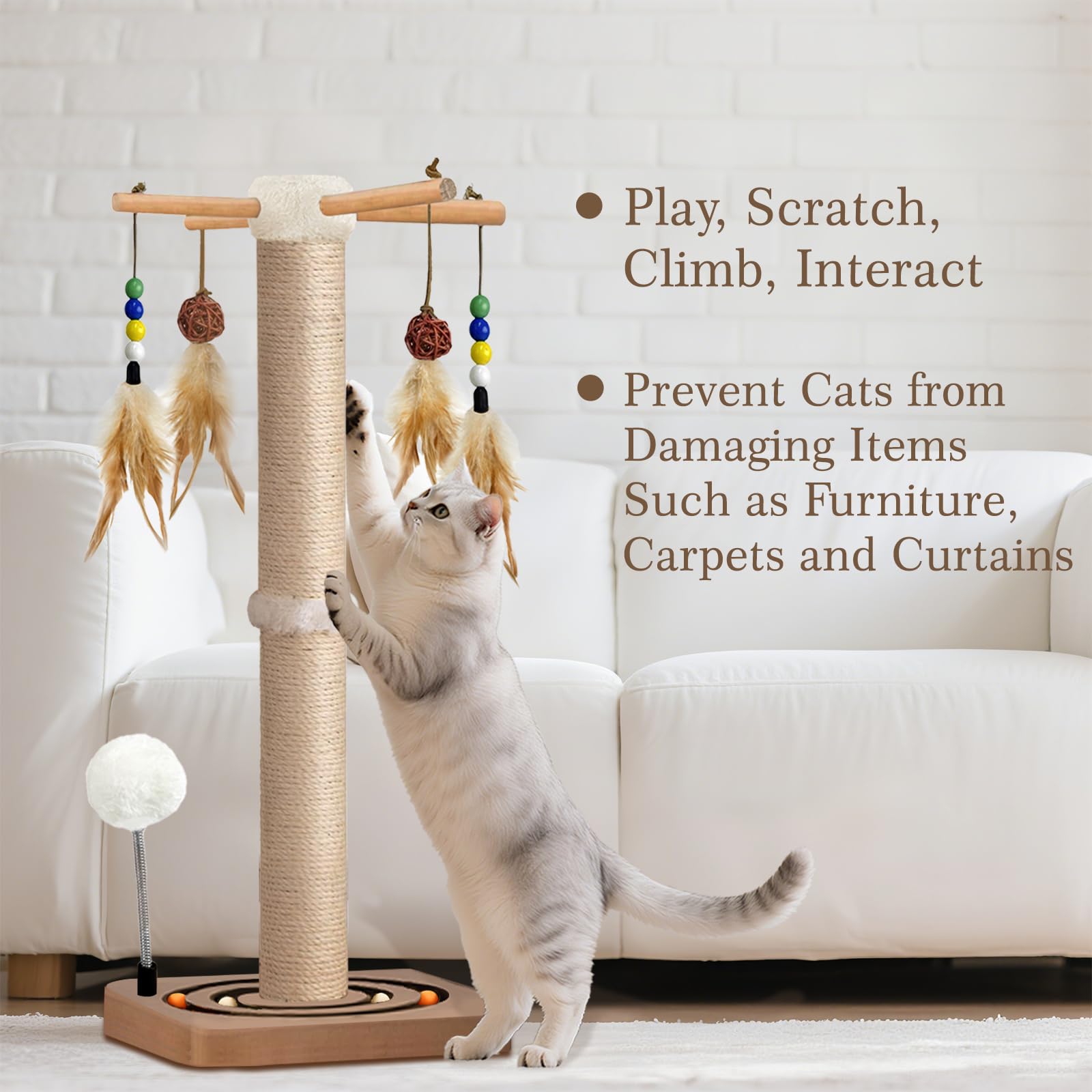 PAROTO interactive toys including feather toys and a plush spring ball