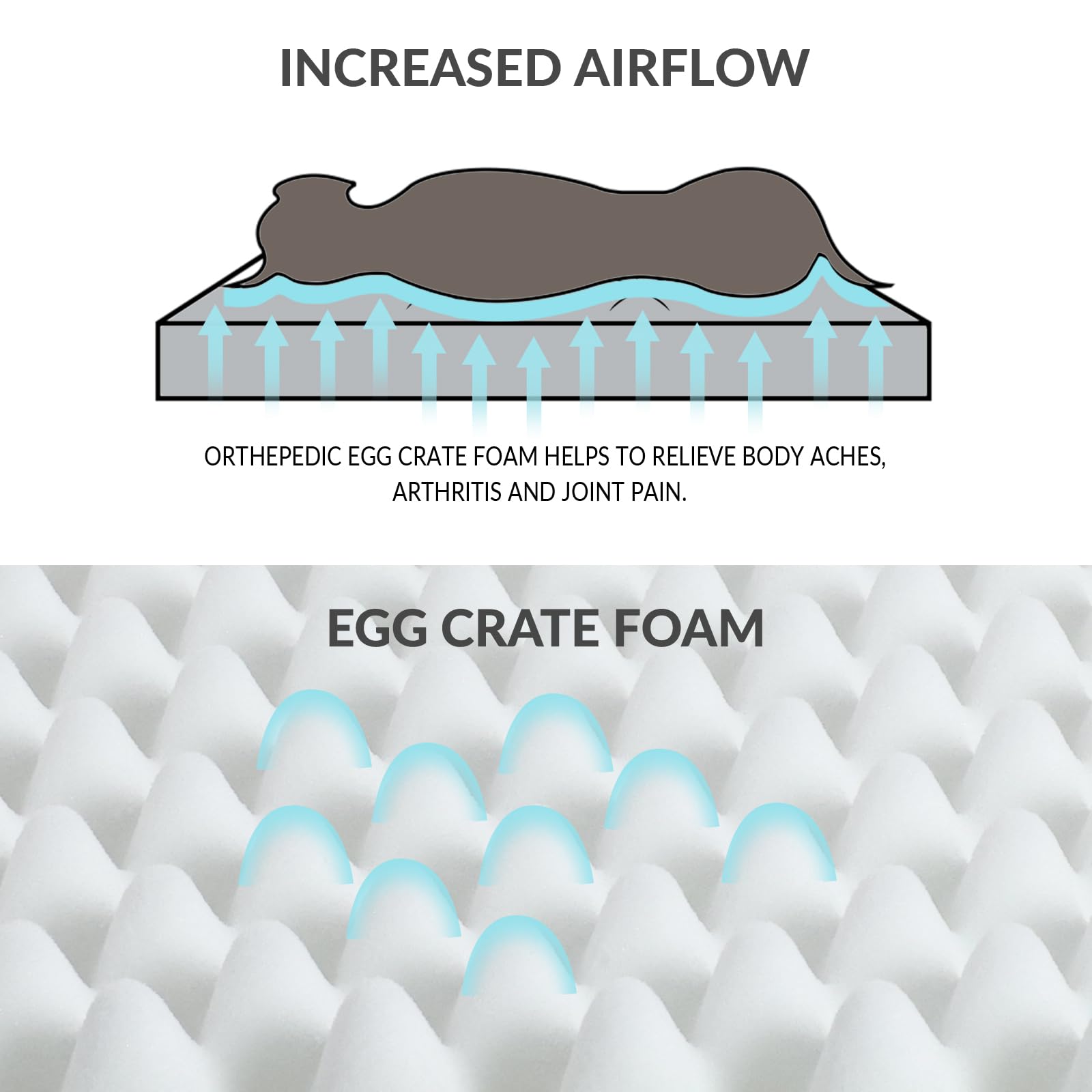 Patas Lague soft cotton fleece surface for cozy pet comfort