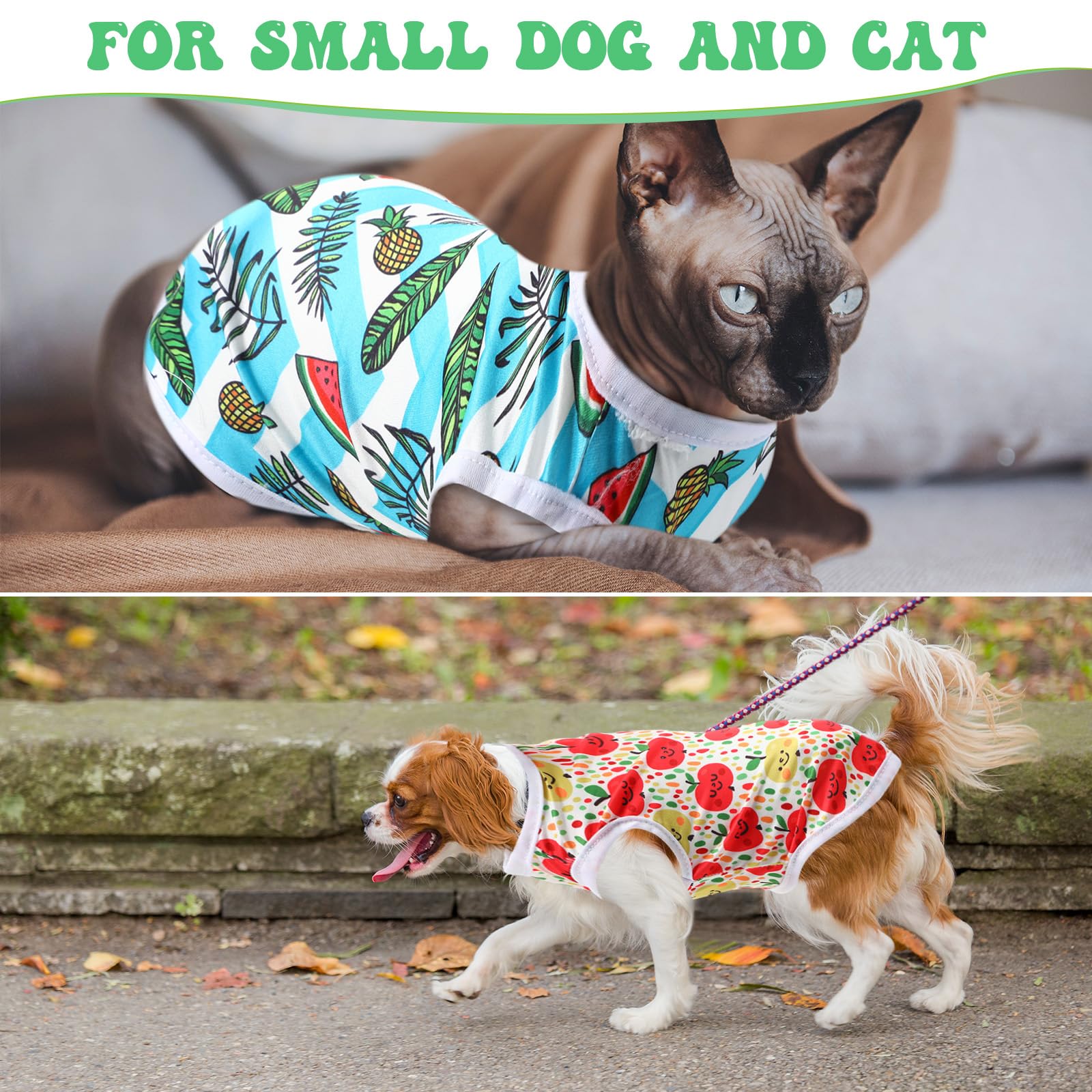 Paterr daily wear for walks and lounging at home.