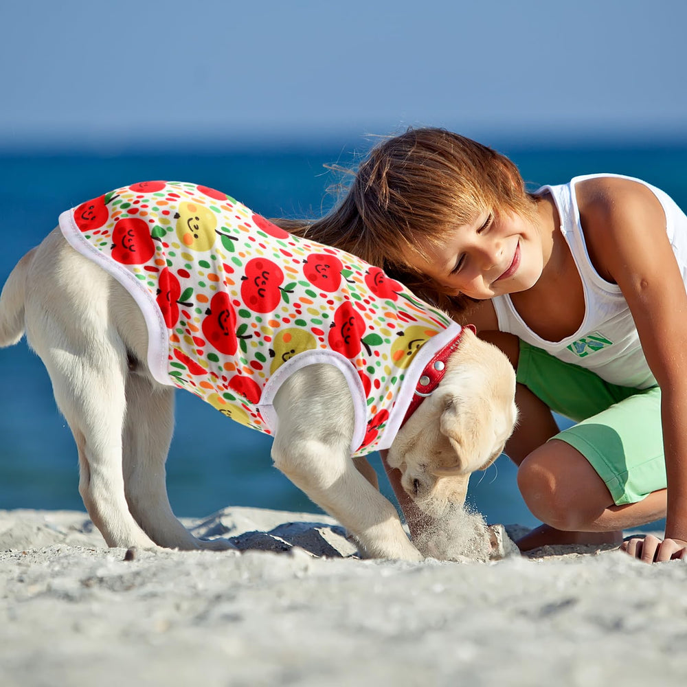Paterr easy-care washable shirts simplify washing routine.