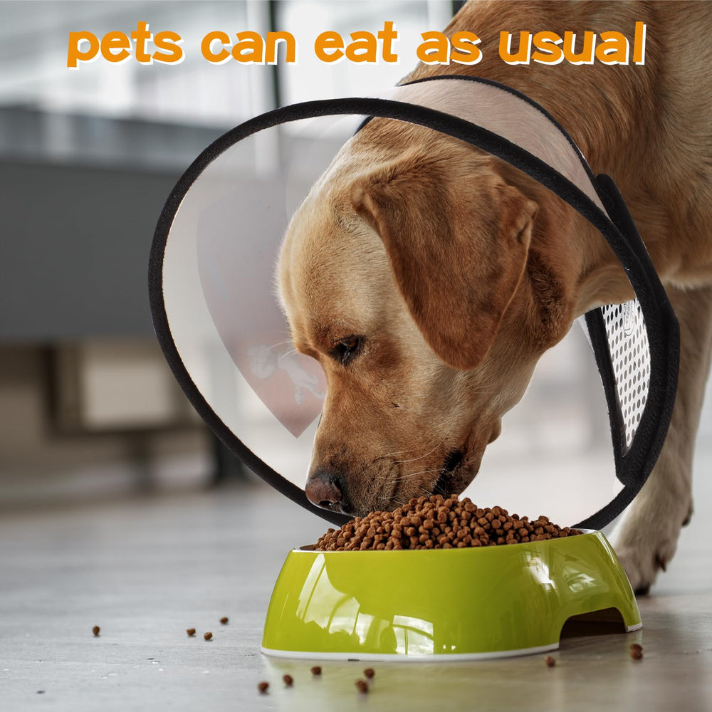 Paterr soft-edge cone features soft edge for meals and rest