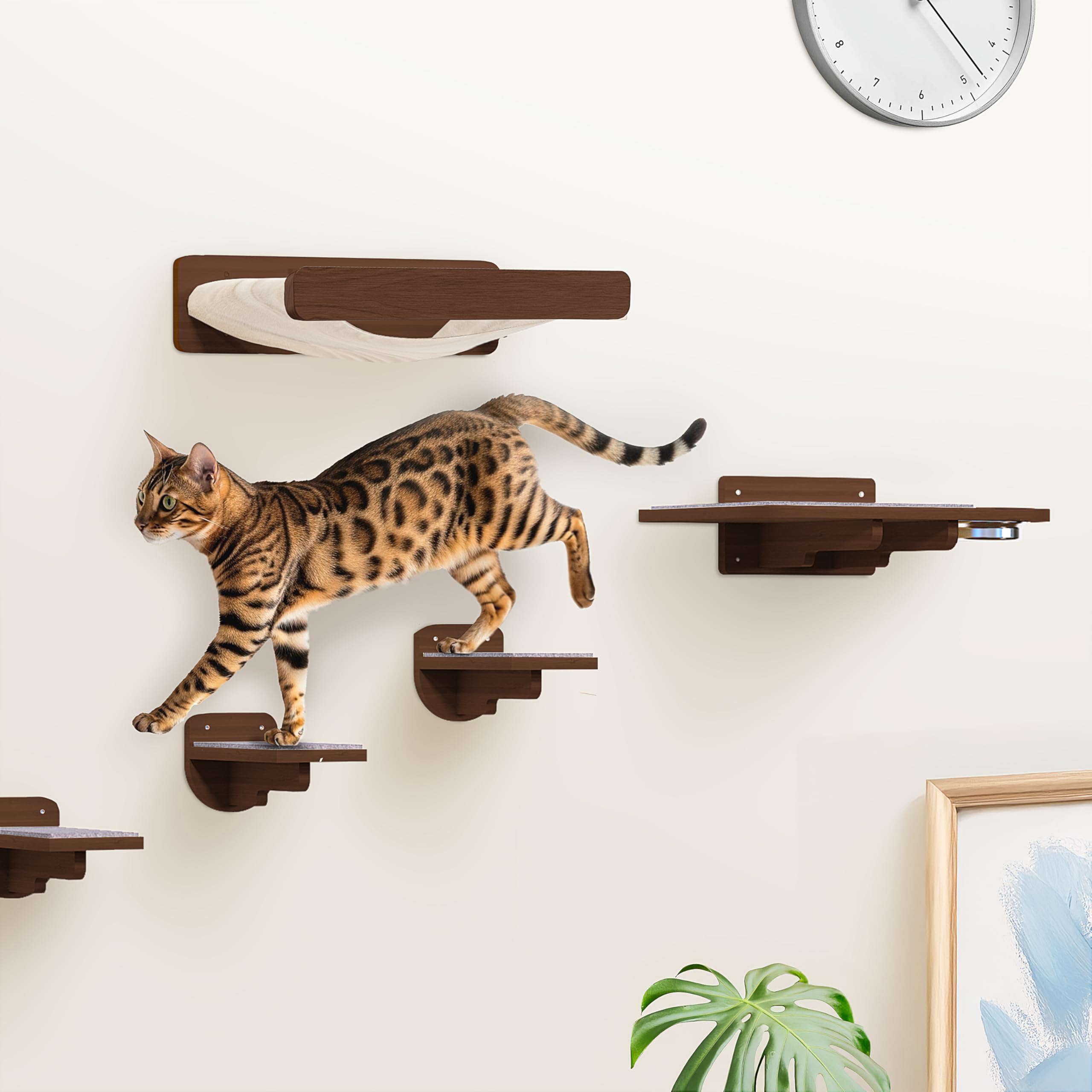 PATHOSIO PETS interactive cat wall climber in modern finish.