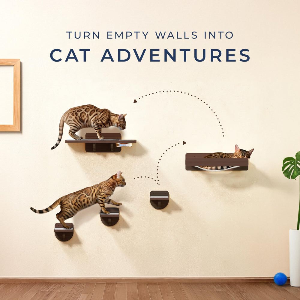 PATHOSIO PETS non-slip carpeted steps for secure cat moves.