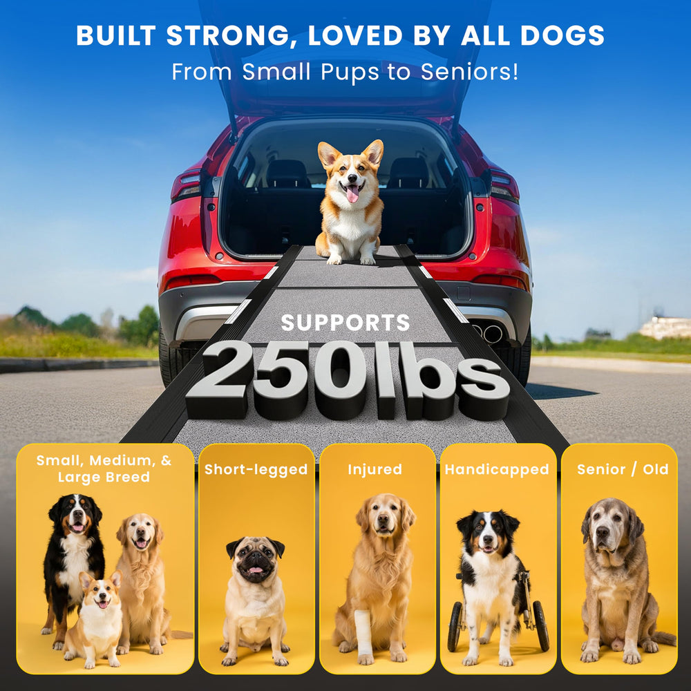 PATHOSIO PETS Quad-fold design for easy storage.