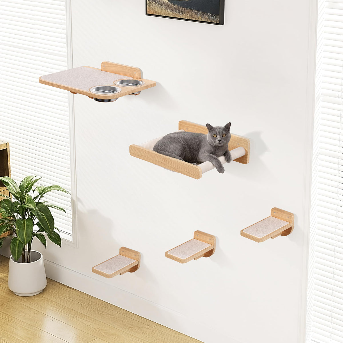 PATHOSIO PETS space-saving cat wall shelves assembly demonstrates sturdy pine construction for durable wall mounting.