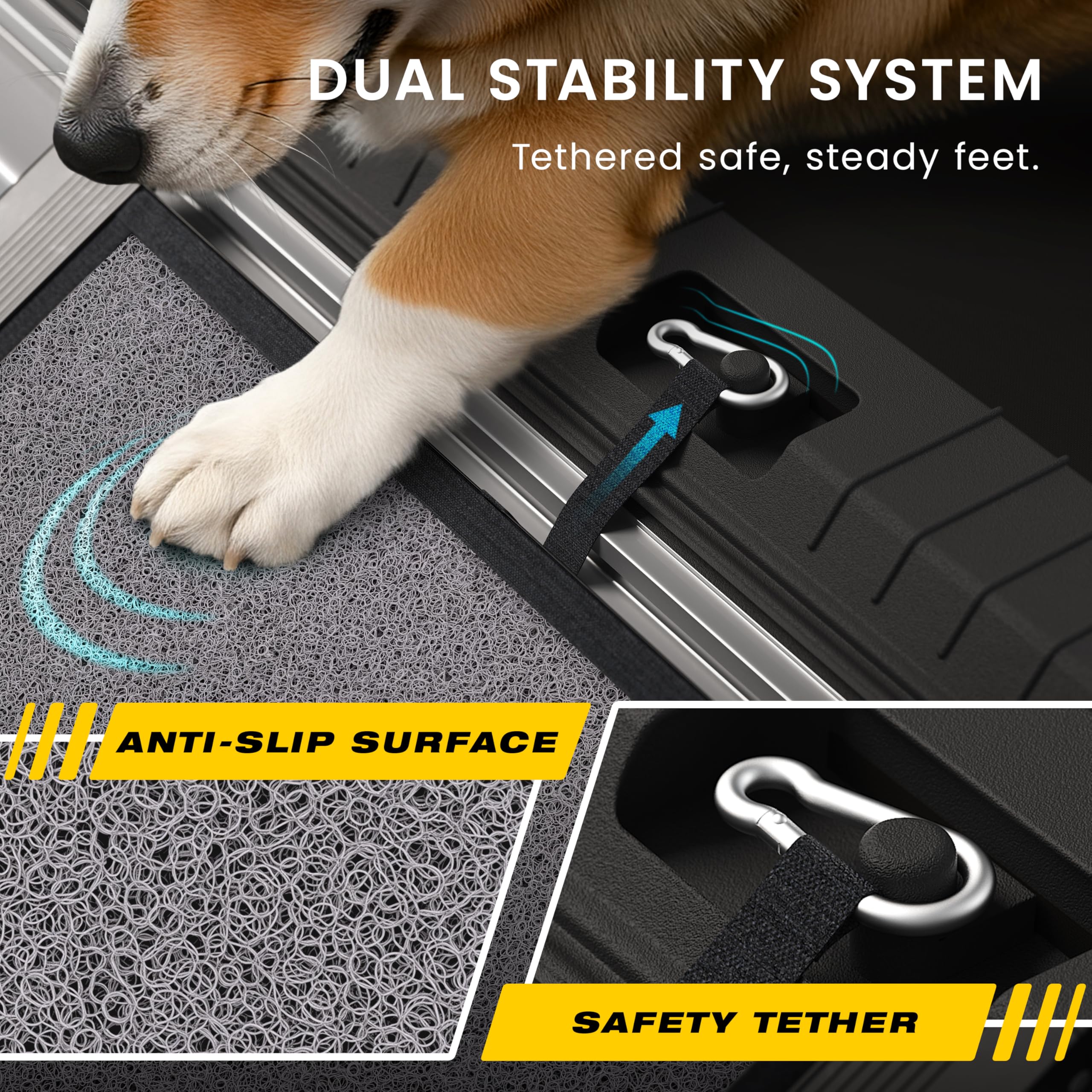 PATHOSIO PETS Traction carpet aids confident climbs.