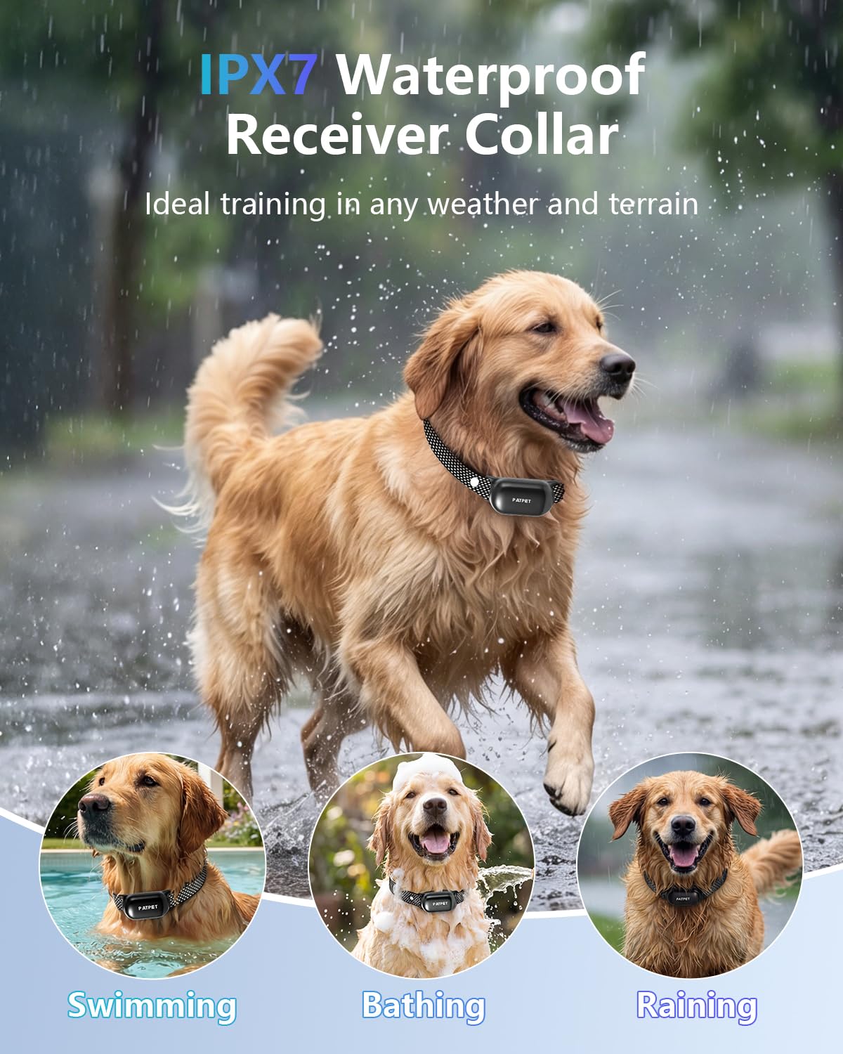 PATPET comfort-fit nylon collar supports comfortable training sessions