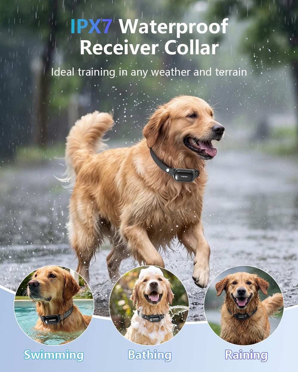 PATPET comfort-fit nylon collar supports comfortable training sessions