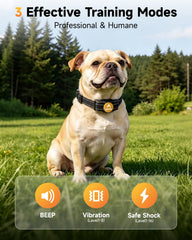 PATPET collar showing beep, vibration, and shock modes for versatile training.