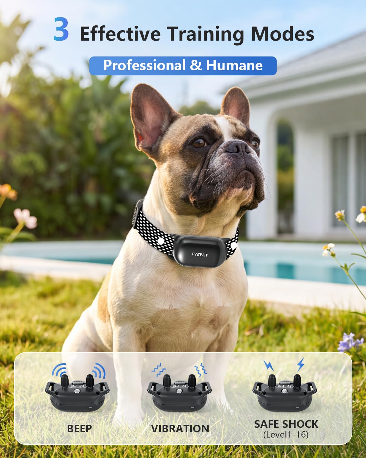 PATPET waterproof IPX7 dog collar ready for rain or splashy play