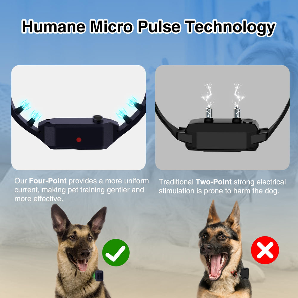 PATPET IPX7 waterproof collar endures rain and splashes.
