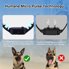 PATPET IPX7 waterproof collar endures rain and splashes.
