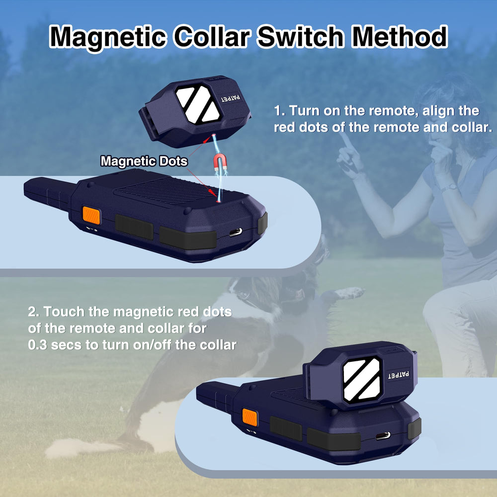 PATPET dual-dog capability supports training two dogs.