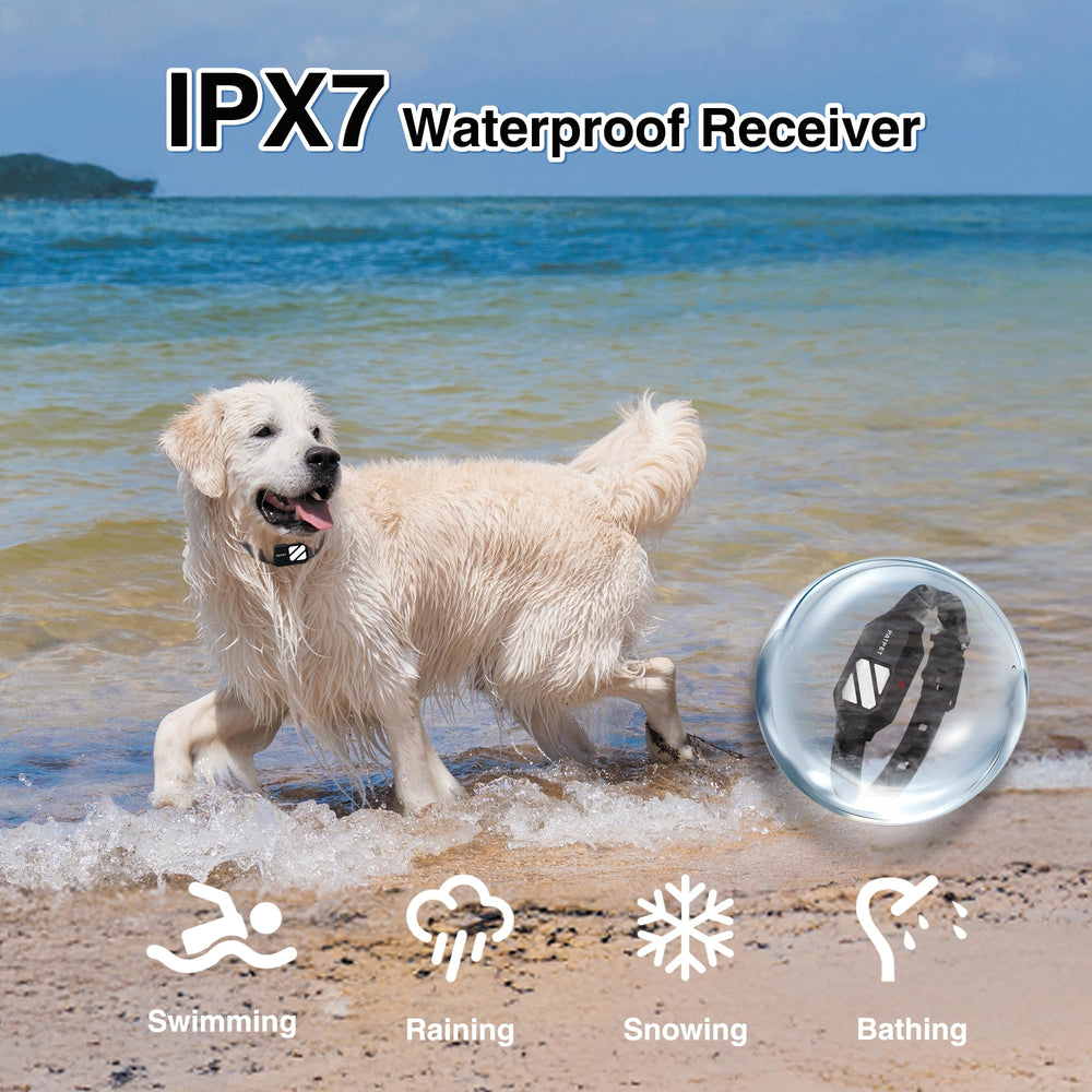 Rechargeable battery supports longer training without frequent recharges.
