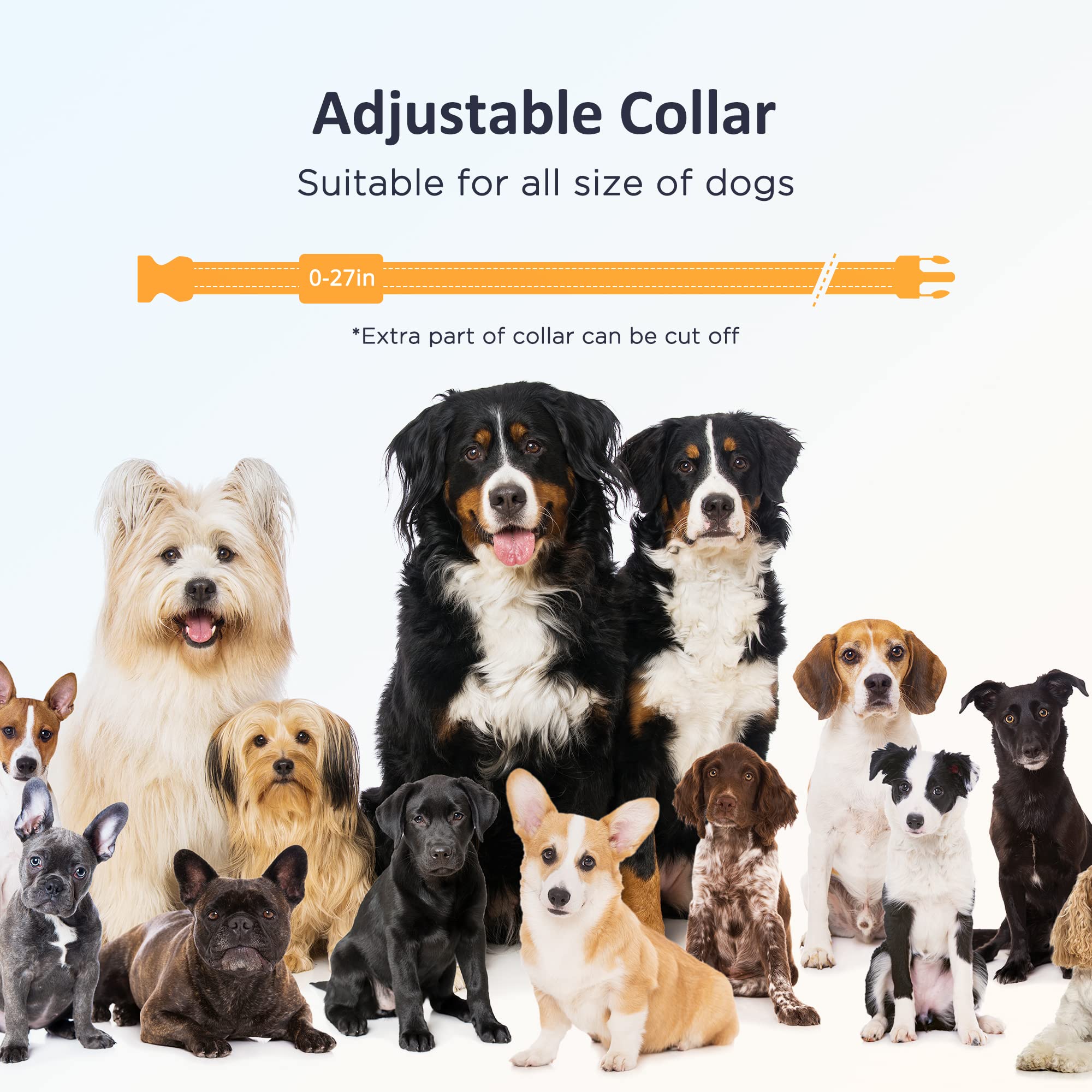 PATPET durable outdoor training collar built to withstand play and weather