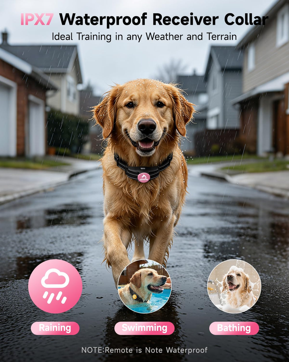 PATPET IPX7 waterproof collar ready for rain and swimming