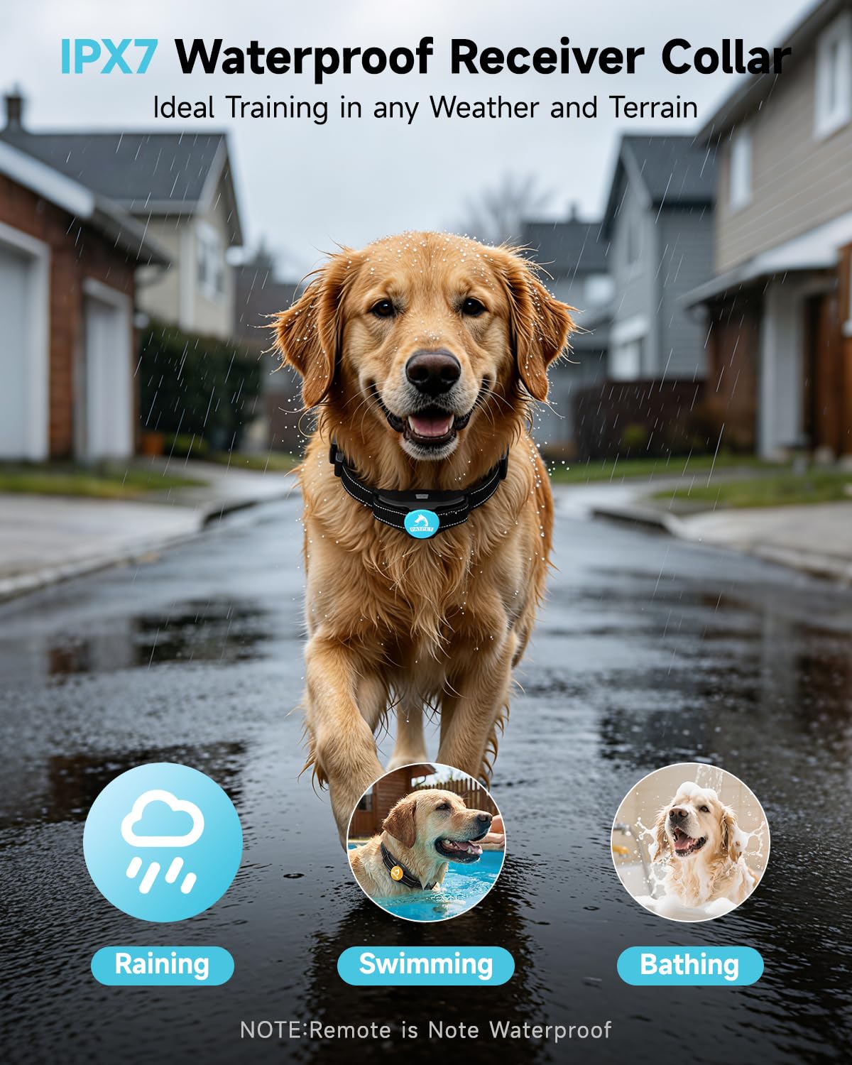 PATPET IPX7 waterproof collar for rain, swimming, and bath time.