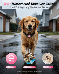 PATPET IPX7 waterproof collar ready for rain and swimming