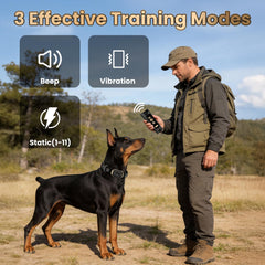 PATPET IPX7 waterproof receiver for rainy walks.