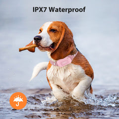 PATPET IPX7 waterproof receiver for rain and swimming
