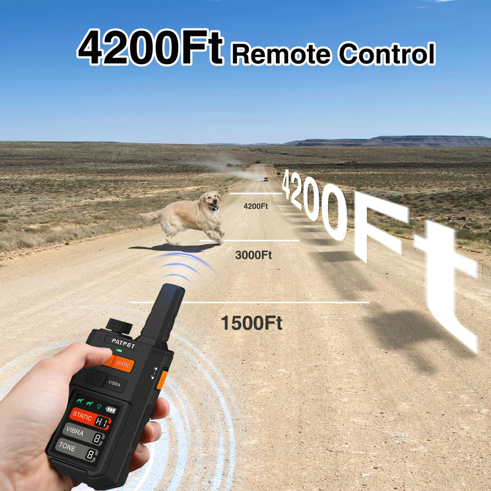 Magnetic collar switch allows quick on/off during sessions.