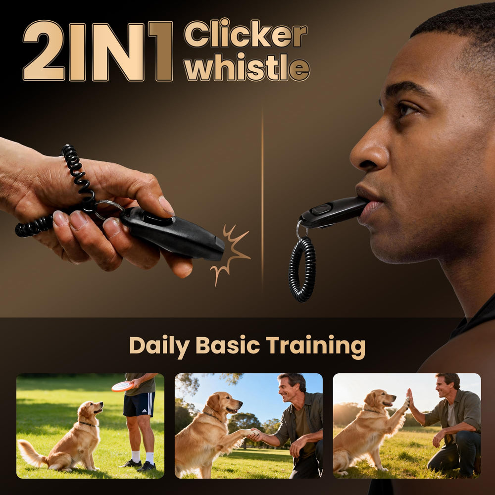 PATPET remote control for dog training up to 4000ft.