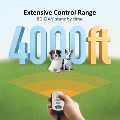 PATPET remote with Dog 1 and Dog 2 buttons for easy switching.