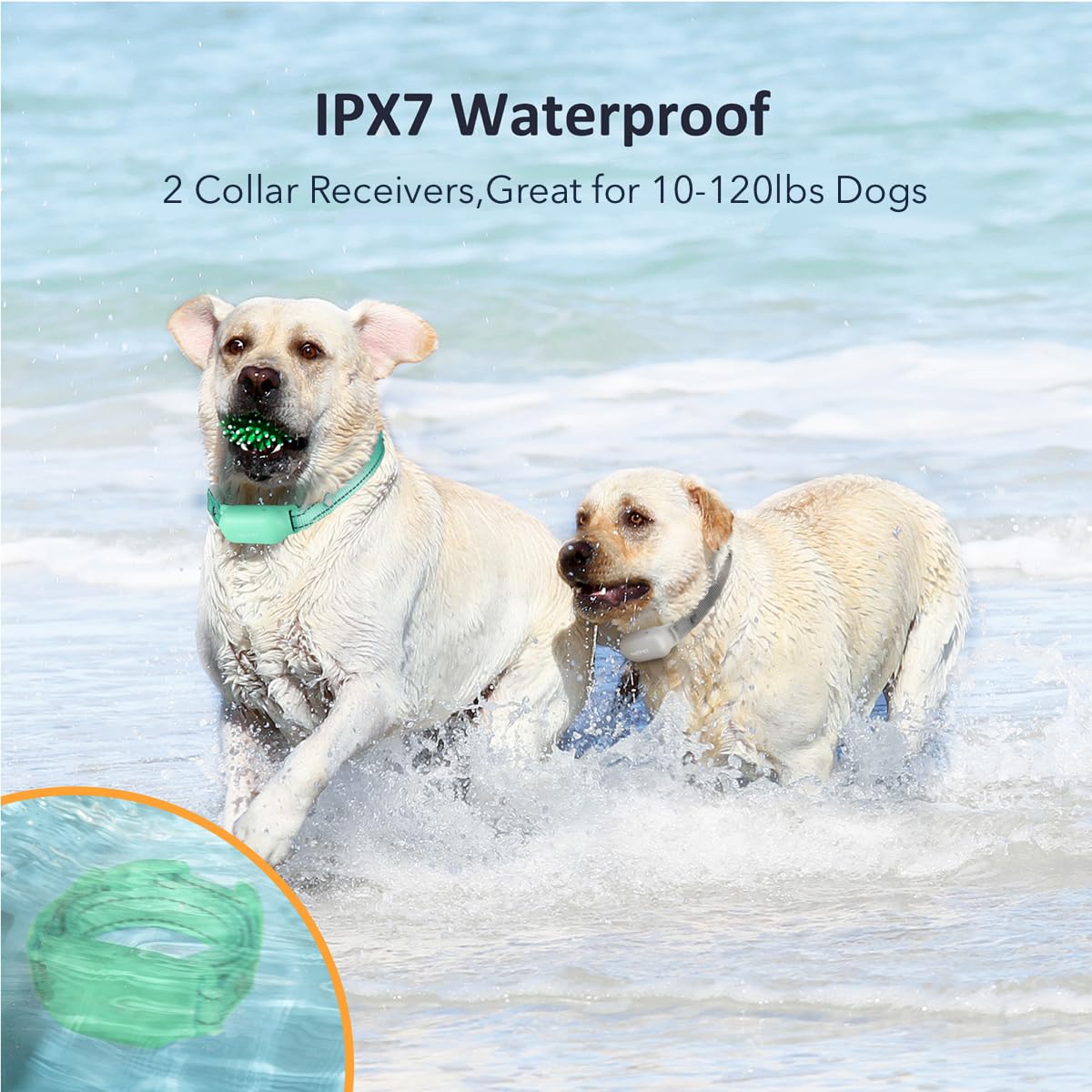PATPET remote for two dogs enables training up to 4000 ft.