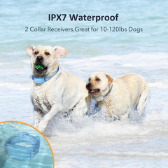 PATPET adjustable nylon strap fits dogs from 10 to 120 pounds