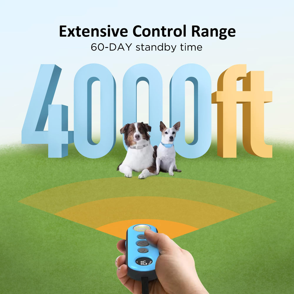 PATPET IPX7 waterproof collar ready for rain, puddles, and swimming