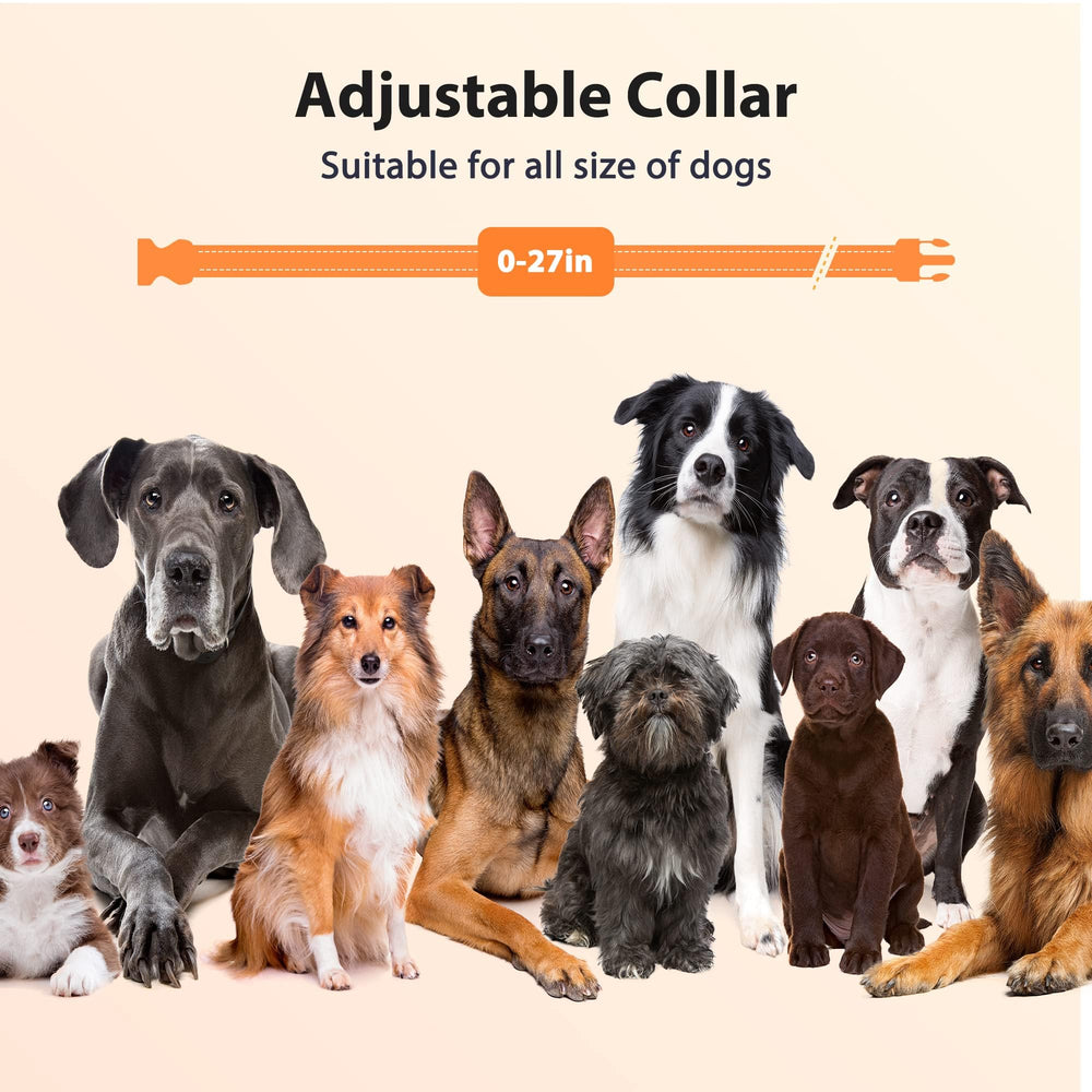PATPET training collar ideal gift for pet enthusiasts