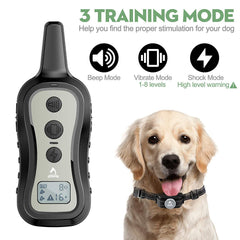 PATPET training collar remote with two channels demonstrating dual-dog operation.