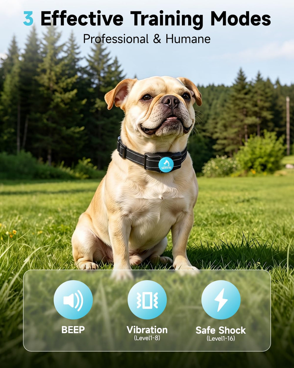 PATPET training modes offer beep, vibration, and shock for versatile daily training.