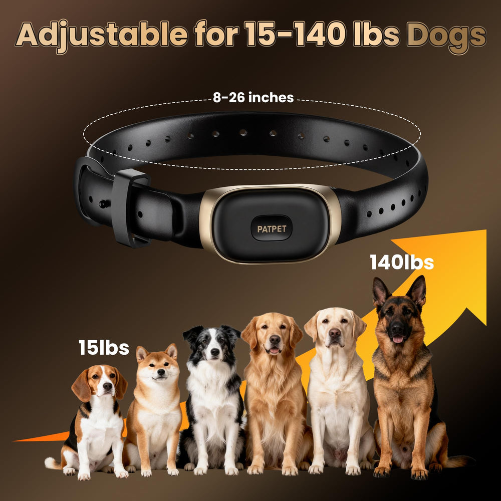 PATPET training modes include beep, vibration, and static correction.