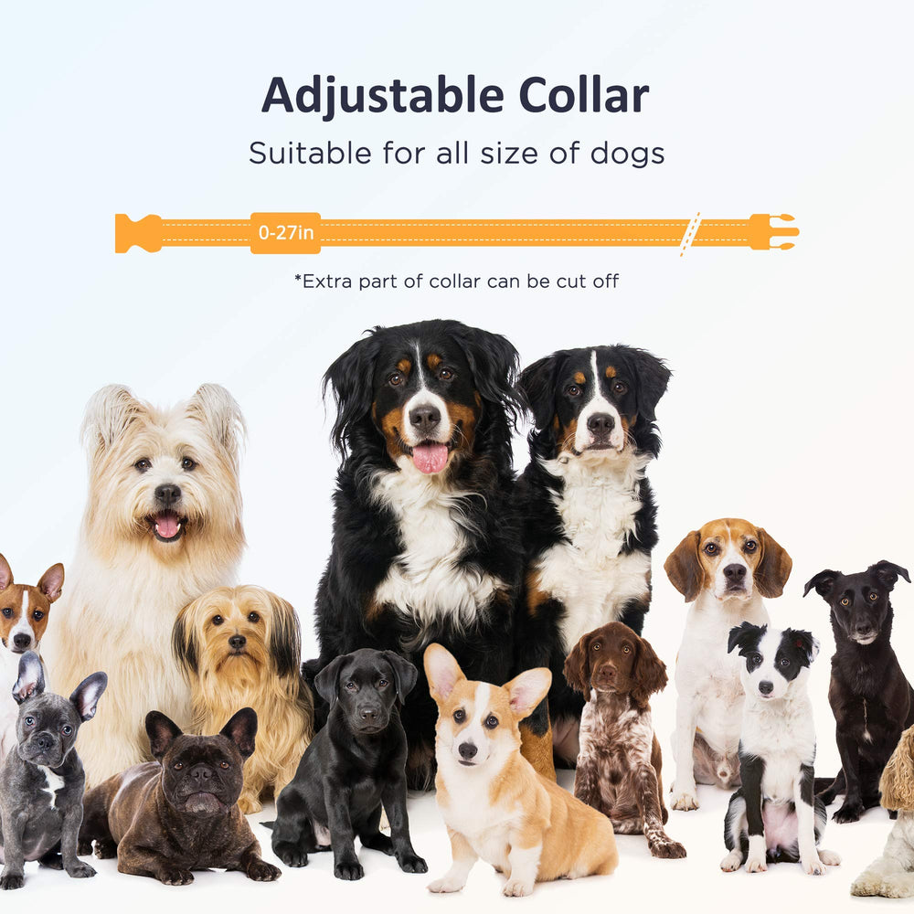 PATPET training modes beep and vibration guide behavior shaping.