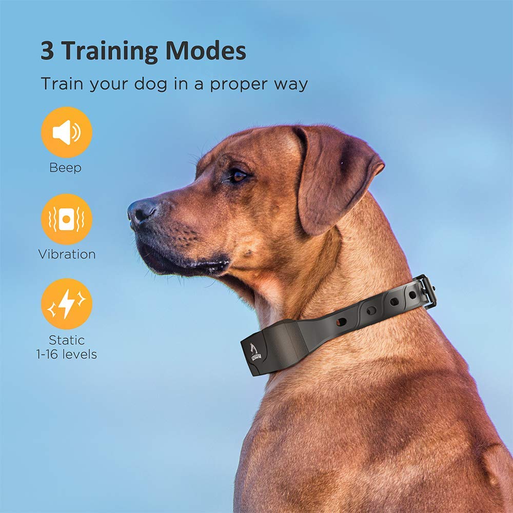 PATPET training collar range up to 3000 feet for flexible distance training.