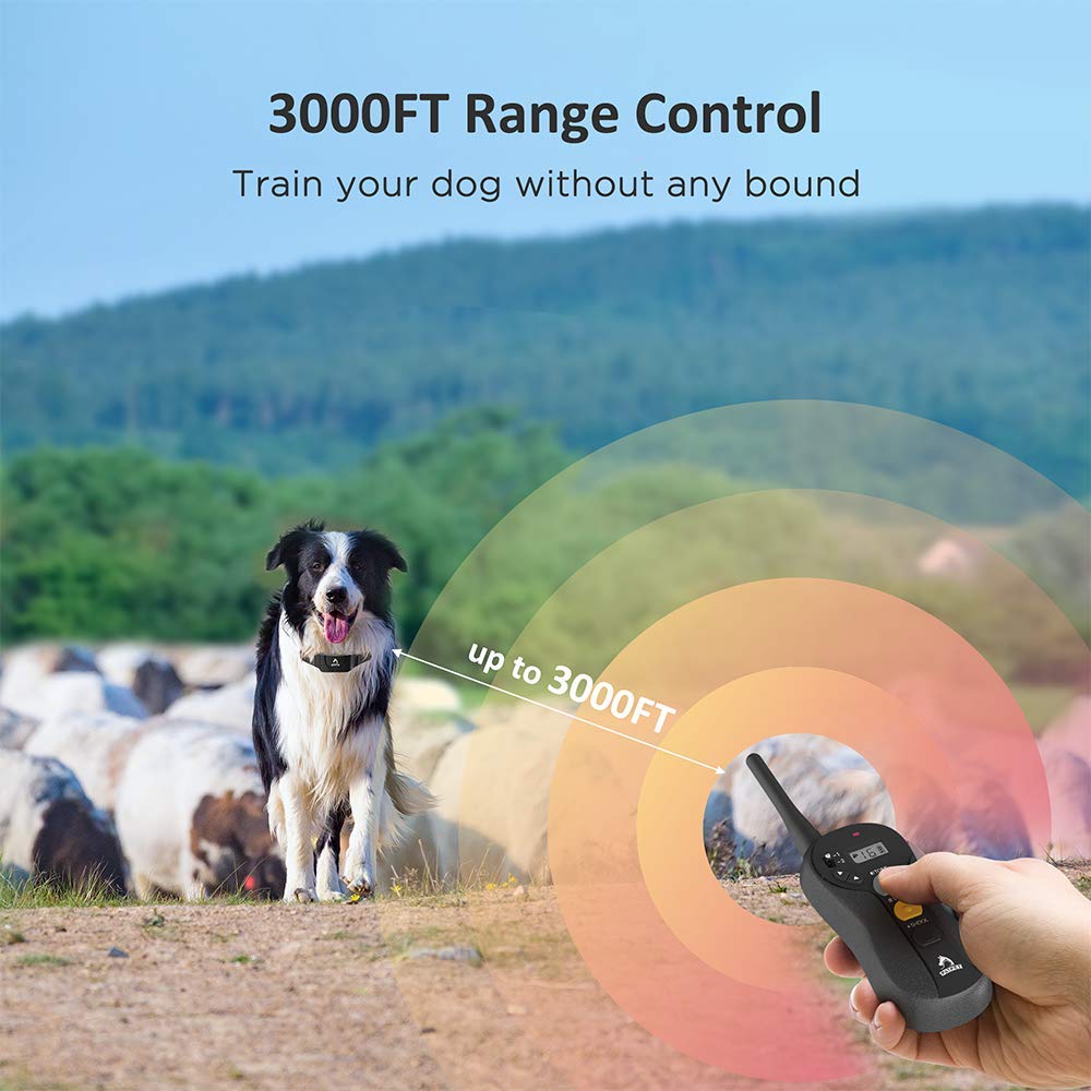 PATPET three-mode training system offers beeps, vibrations, and levels for customization.